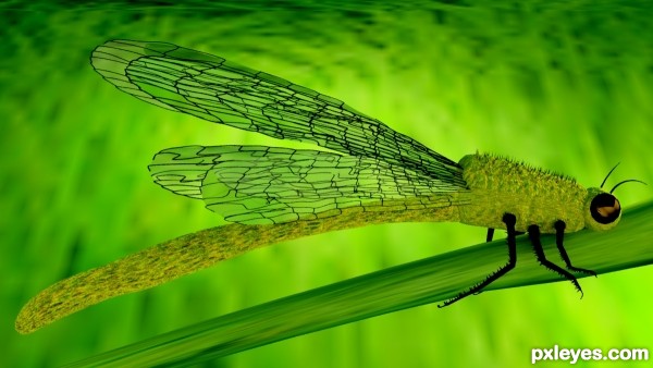 Dragonfly